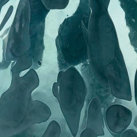 Cartshaw Vase - Image 9