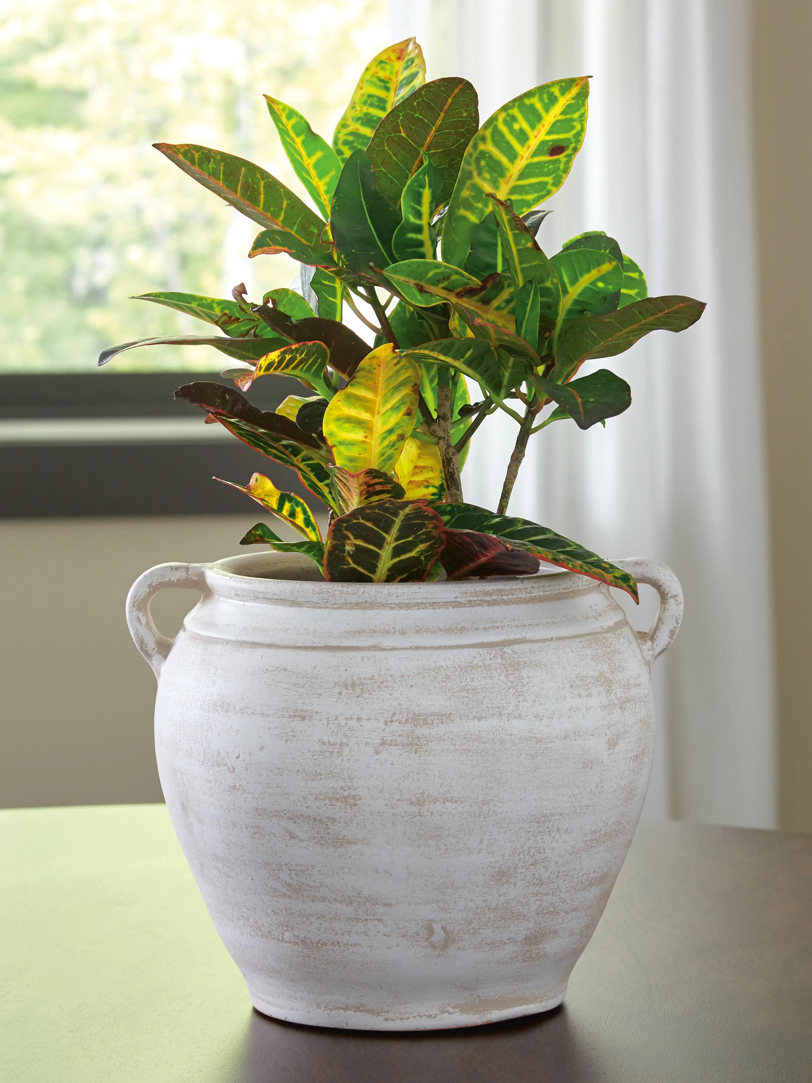 Meadie Vase - Image 25